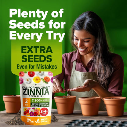 Home Grown | Premium Rainbow Zinnia Flower Seeds